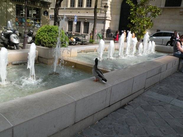  fontaine, place de la Sorbonne